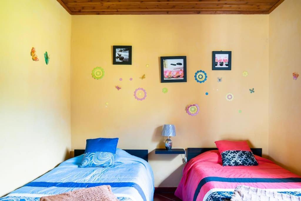 Country House In Azores - S. Miguel Ribeira Grande Exterior foto